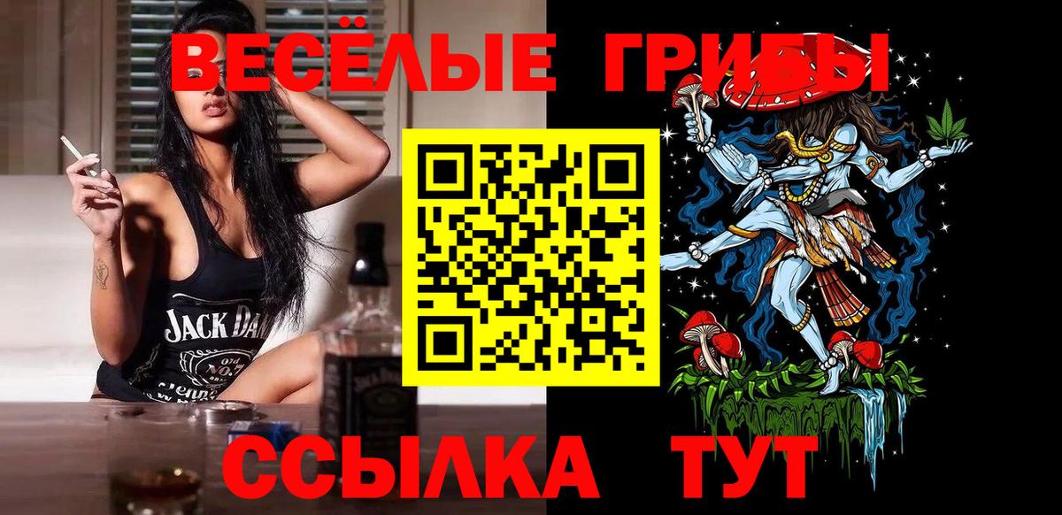 Арсеньев  Псилоцибиновые грибы MAGIC MUSHROOMS  Вход с VPN 